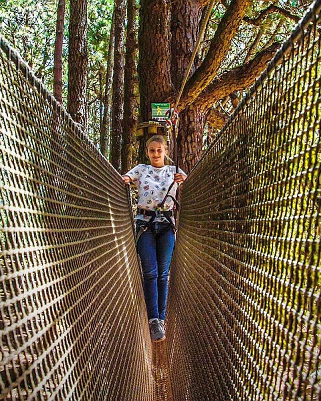 Parque de tirolinas Forestal Park